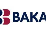 Логотип bakai