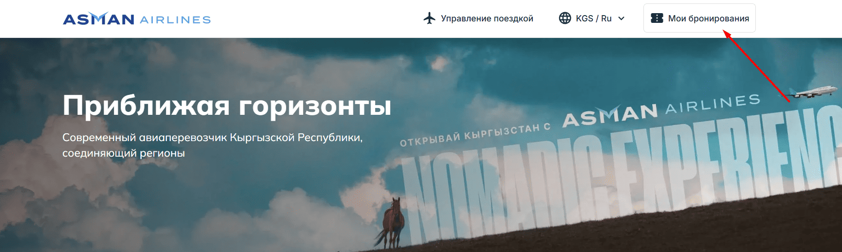 Главная страница asman-airlines