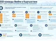 Полезные USSD-команды Beeline в Кыргызстане: баланс, пакеты, номер и настройки