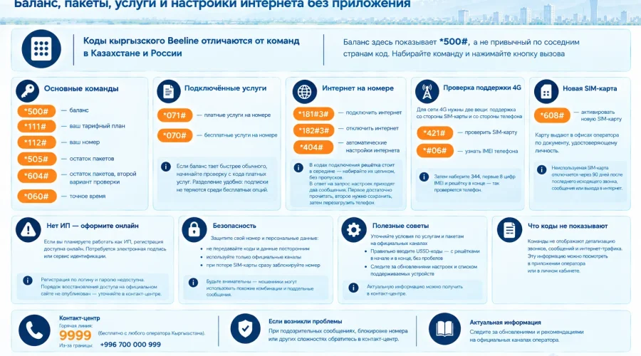 Полезные USSD-команды Beeline в Кыргызстане: баланс, пакеты, номер и настройки