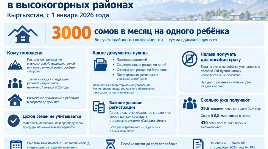 Пособия для семей в высокогорных и труднодоступных районах — почти 30 тысяч детей уже получают