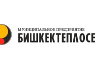 Логотип teploseti.kg